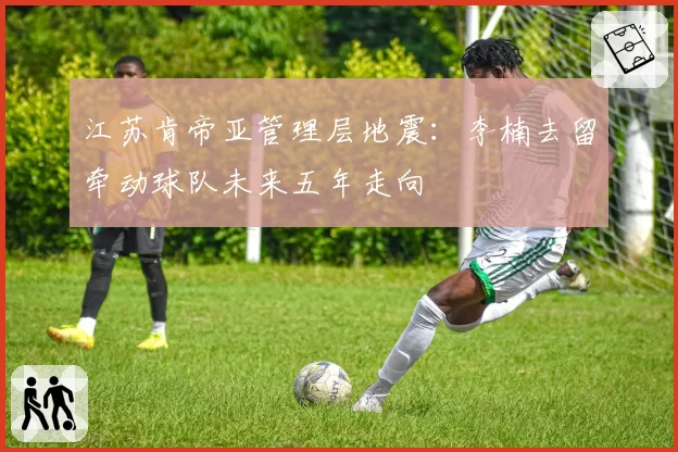 江苏肯帝亚管理层地震:李楠去留牵动球队未来五年走向