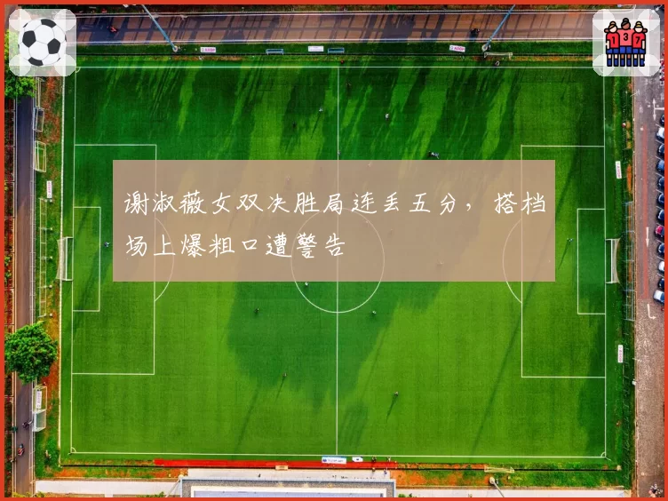 谢淑薇女双决胜局连丢五分，搭档场上爆粗口遭警告