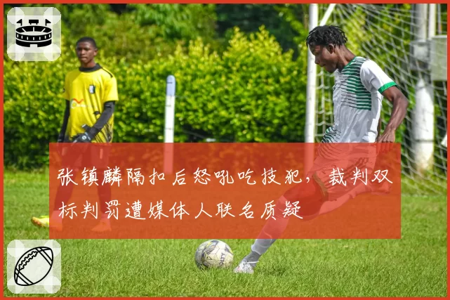 张镇麟隔扣后怒吼吃技犯,裁判双标判罚遭媒体人联名质疑